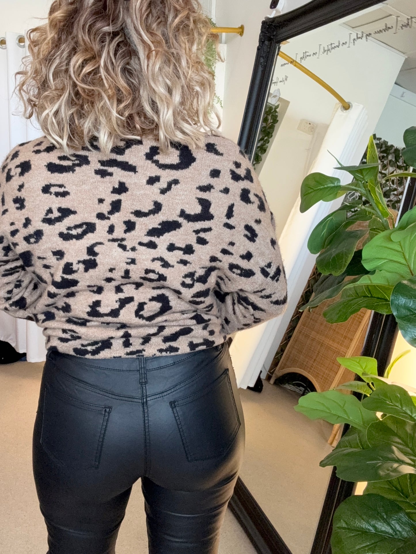 JAMES - Wetlook pull on pant
